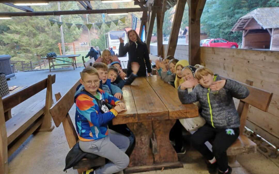 Izvanučionička nastava “Šumska škola – klijanac i pup”